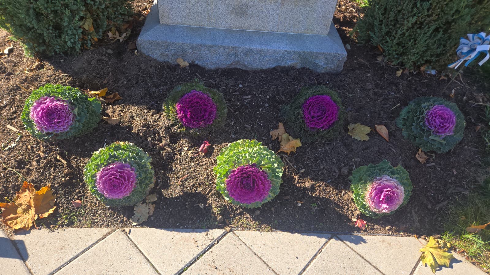 ACE Landscaping Services